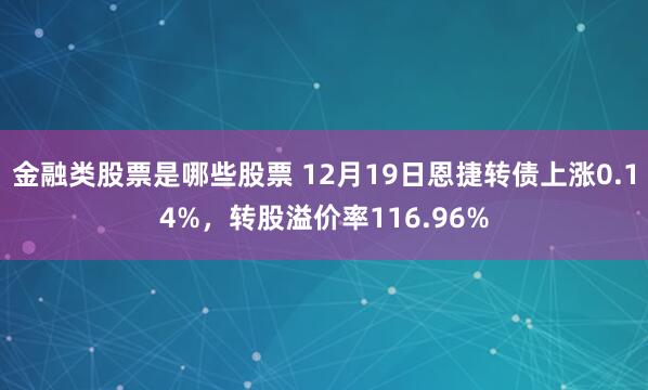 金融类股票是哪些股票 12月19日恩捷转债上涨0.14%，转股溢价率116.96%