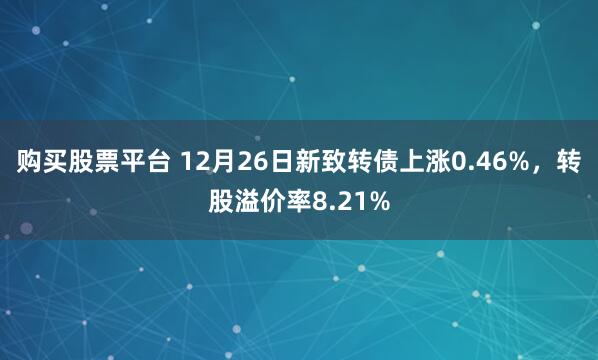 购买股票平台 12月26日新致转债上涨0.46%，转股溢价率8.21%