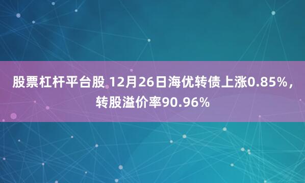 股票杠杆平台股 12月26日海优转债上涨0.85%，转股溢价率90.96%