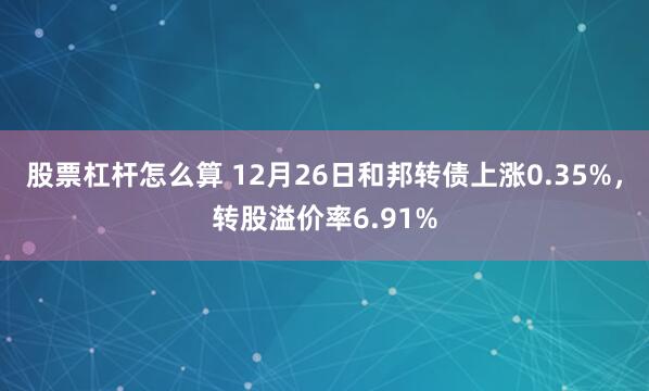 股票杠杆怎么算 12月26日和邦转债上涨0.35%，转股溢价率6.91%