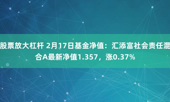 股票放大杠杆 2月17日基金净值：汇添富社会责任混合A最新净值1.357，涨0.37%