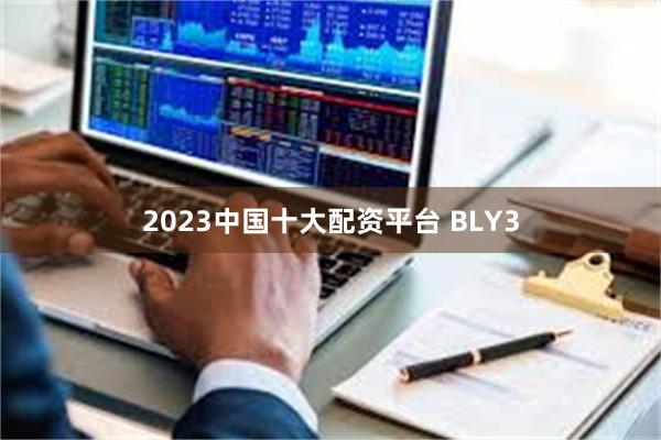 2023中国十大配资平台 BLY3