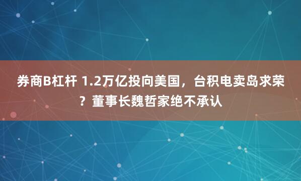 券商B杠杆 1.2万亿投向美国，台积电卖岛求荣？董事长魏哲家绝不承认